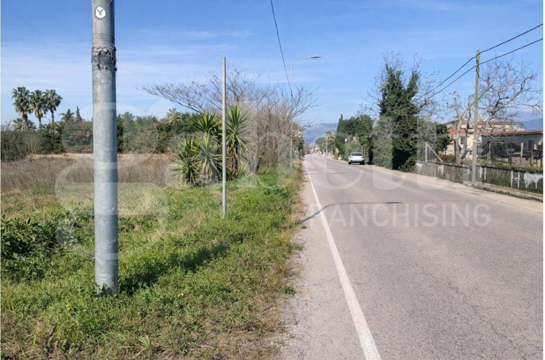 Terreno - Image 5