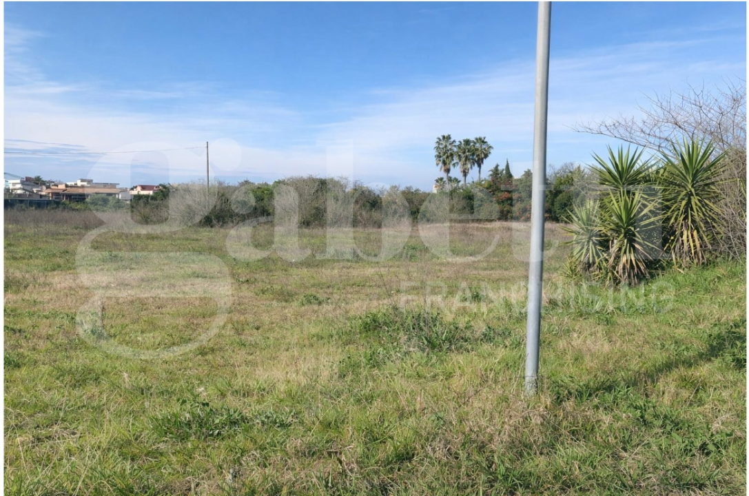 Terreno - Image 8