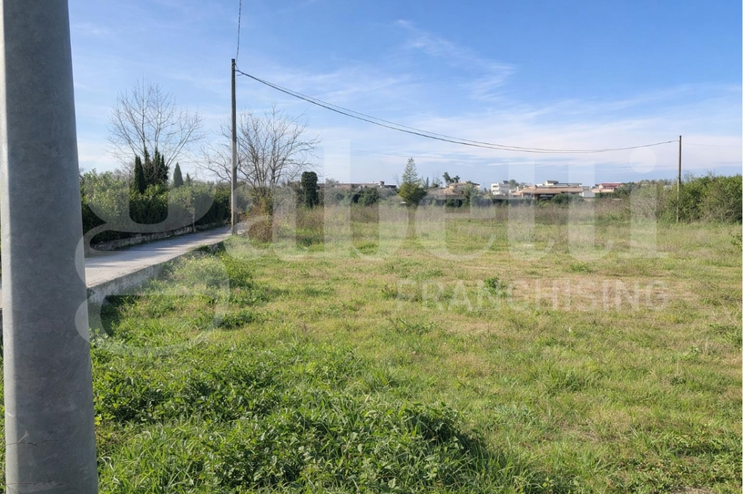 Terreno - Image 6