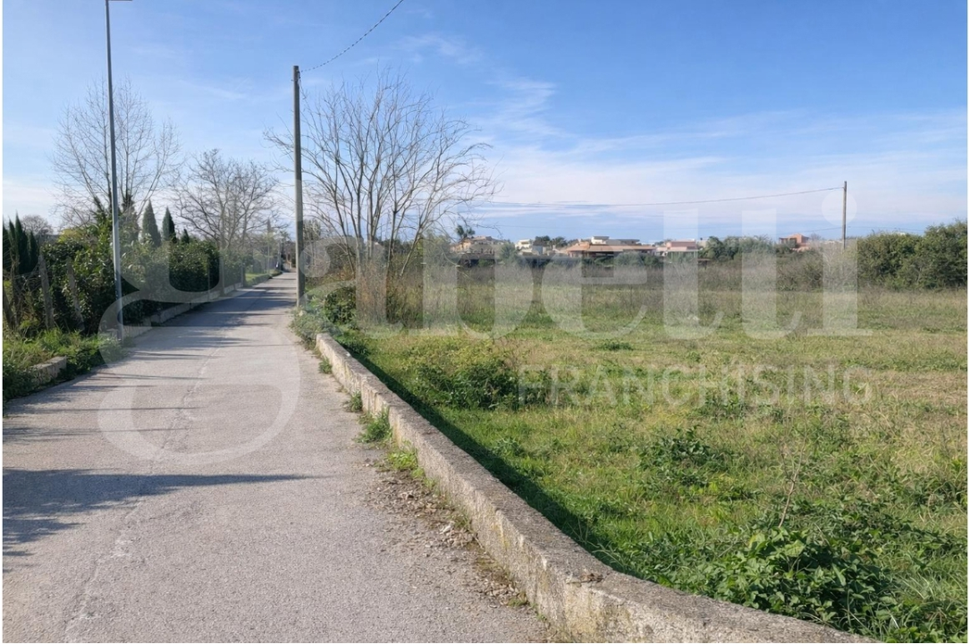 Terreno - Image 7