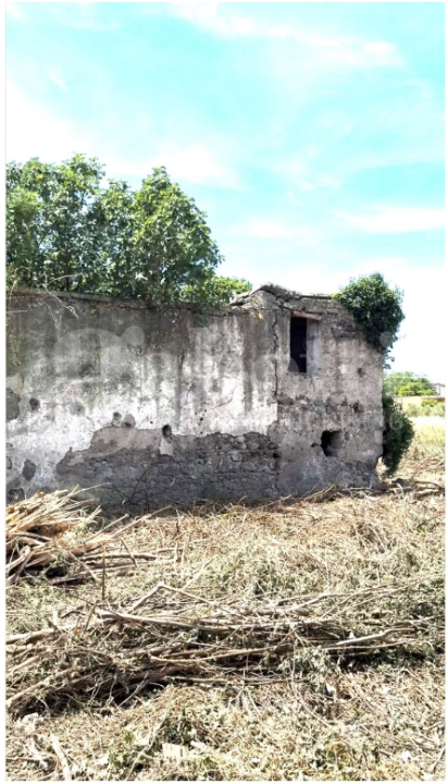 Terreno - Image 9