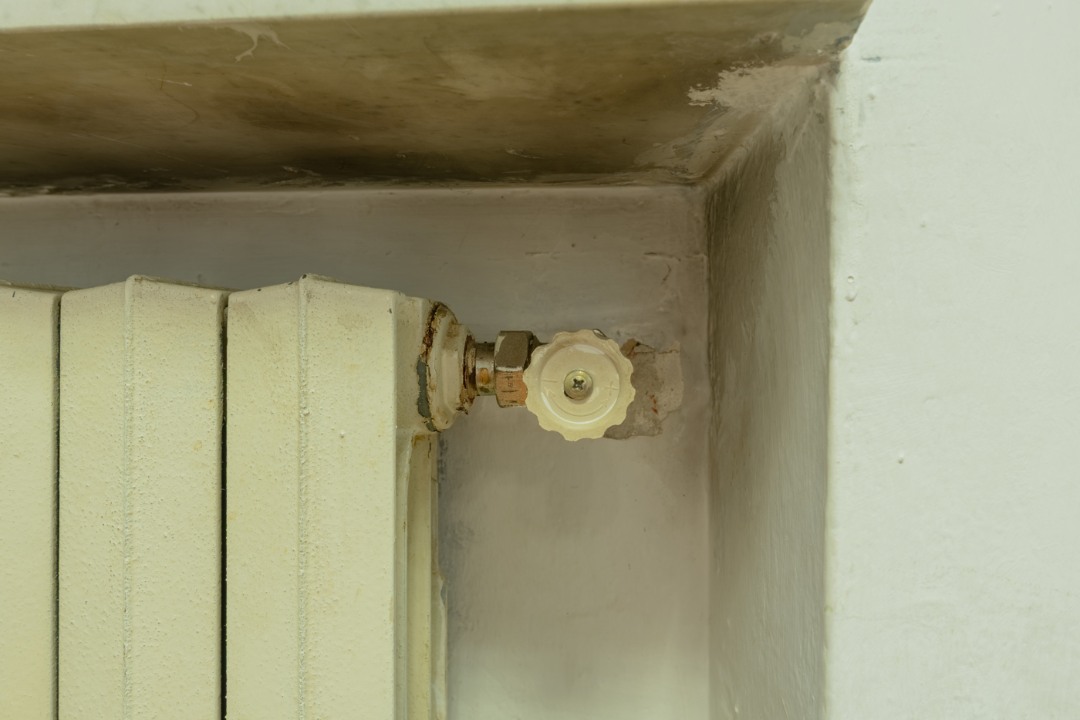 Ufficio - Image 30