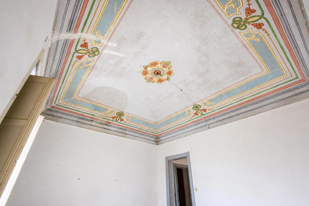 Complesso - Image 28