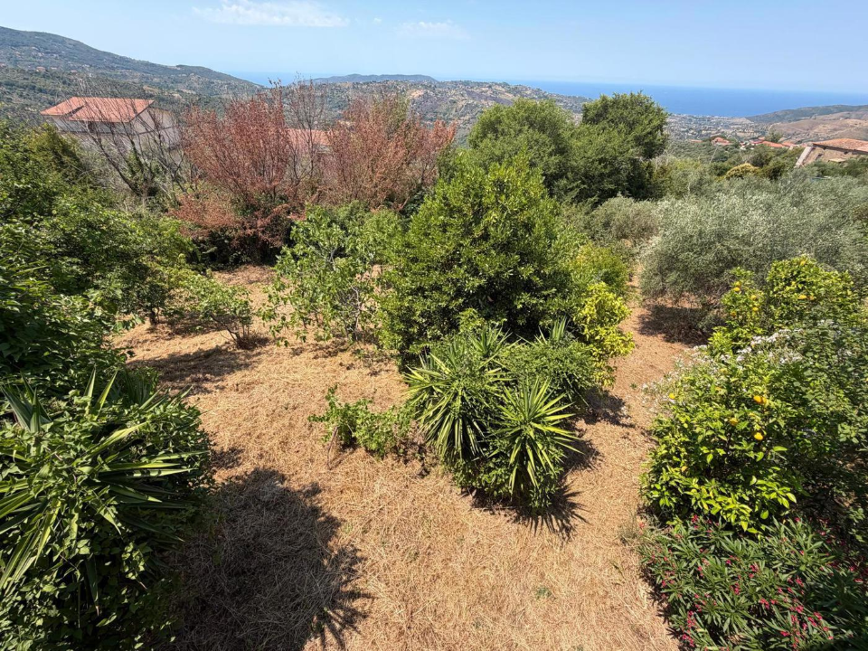 Villa - Image 23
