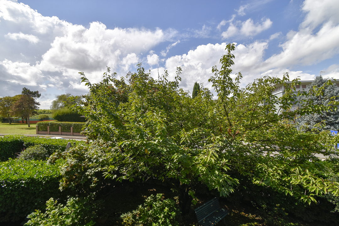 Appartamento - Image 24