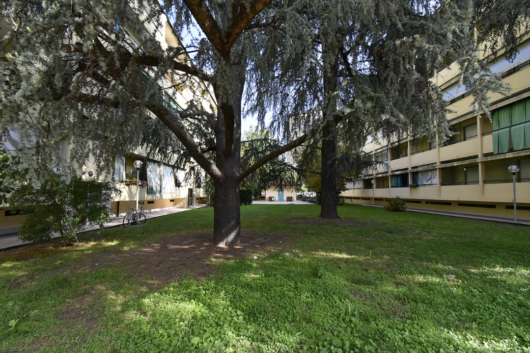 Appartamento - Image 7