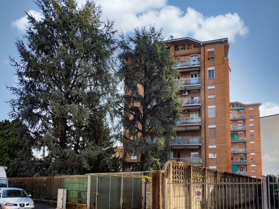 Appartamento - Image 32