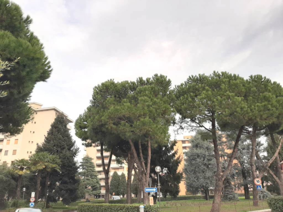 Appartamento - Image 4