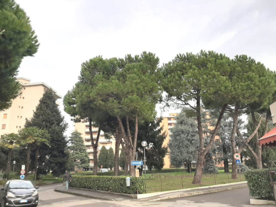 Appartamento - Image 2