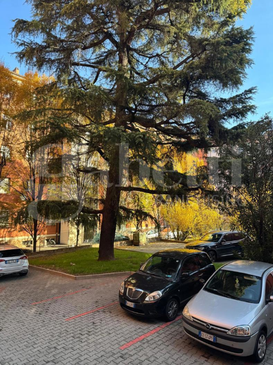 Appartamento - Image 5