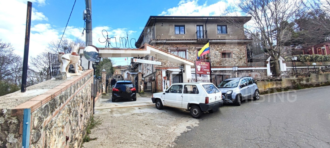 Attività - Image 22