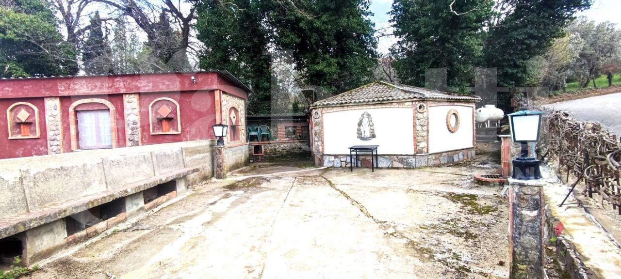 Attività - Image 4