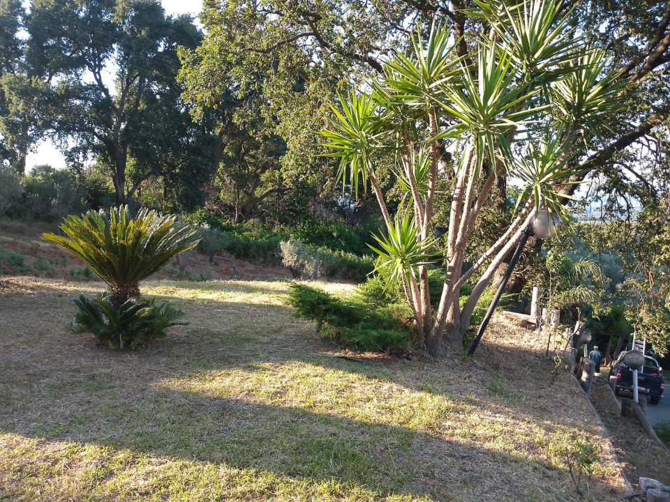 Villa - Image 40