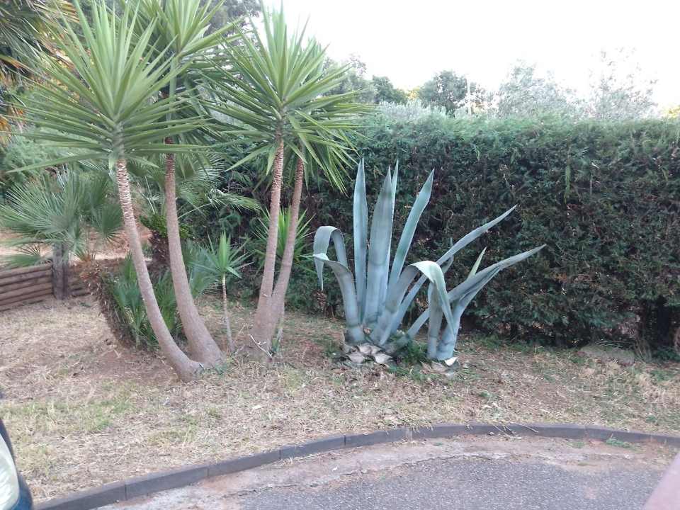 Villa - Image 43