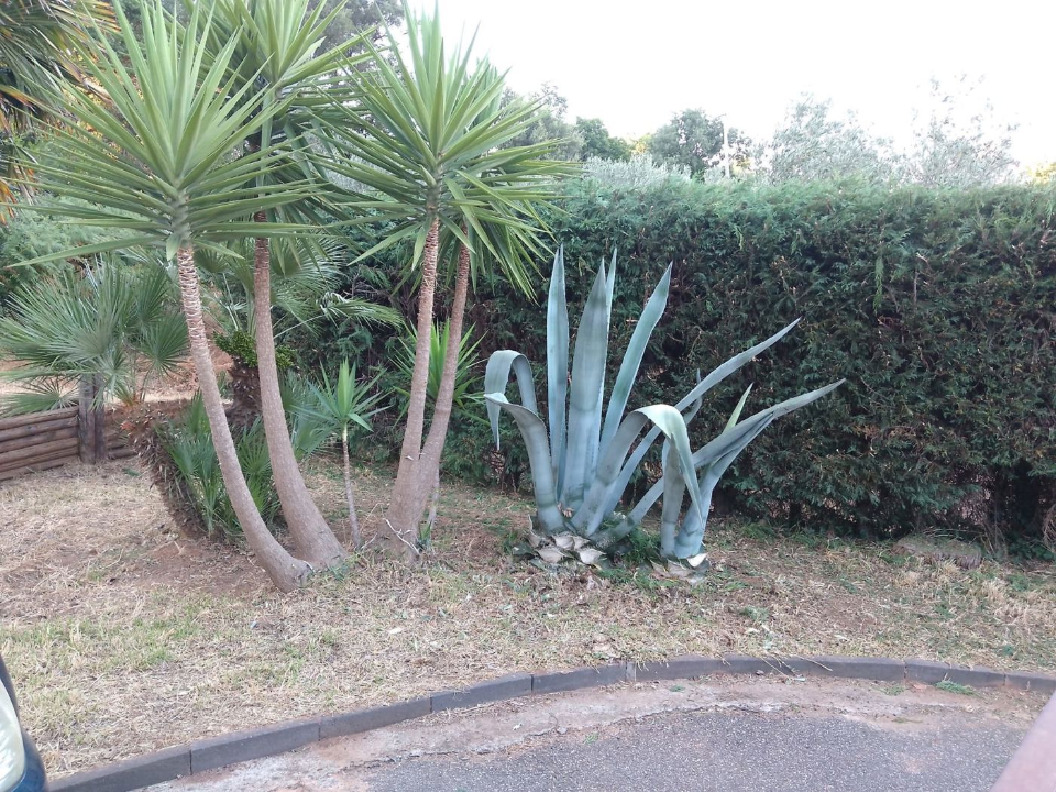Villa - Image 45