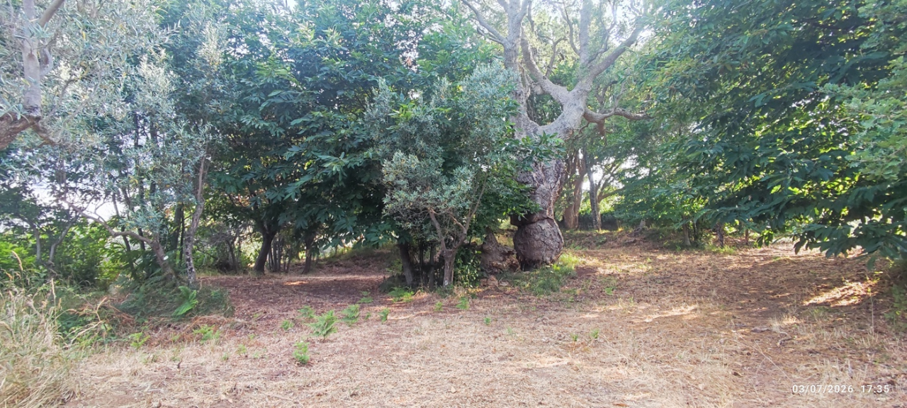 Villa - Image 32