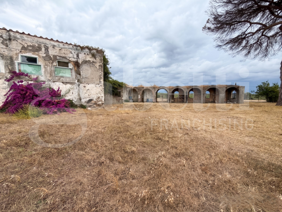 Complesso - Image 11