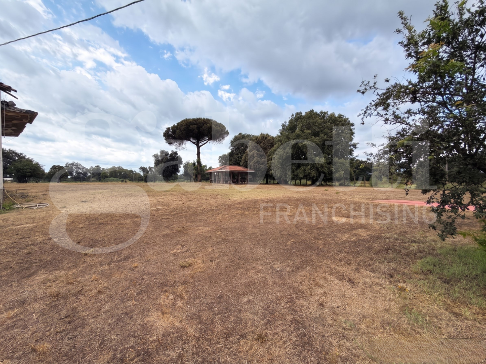 Complesso - Image 10