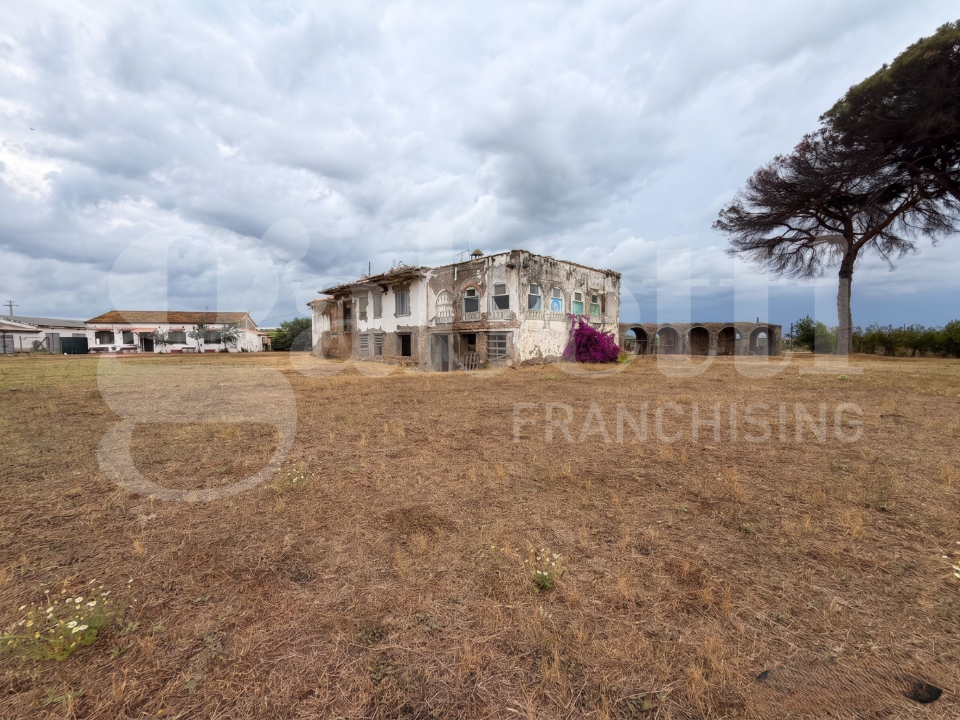 Complesso - Image 13
