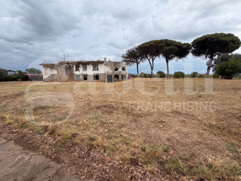 Complesso - Image 8
