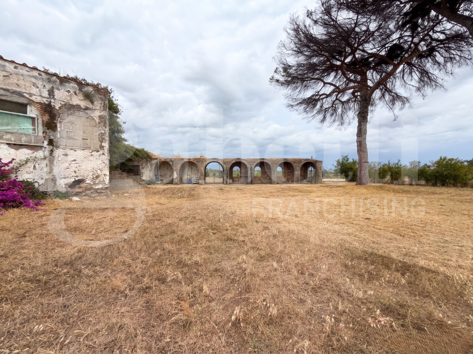 Complesso - Image 9