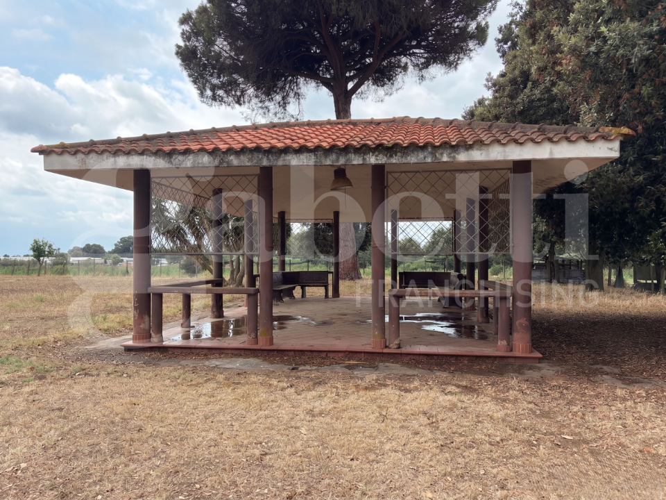 Complesso - Image 12