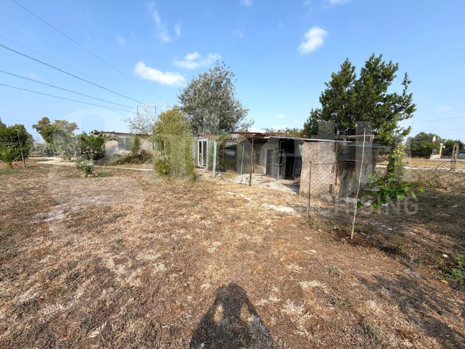 Terreno - Image 4