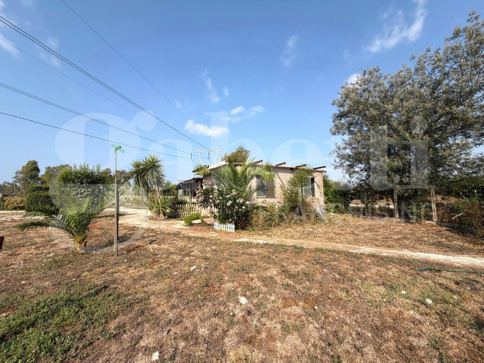 Terreno - Image 5