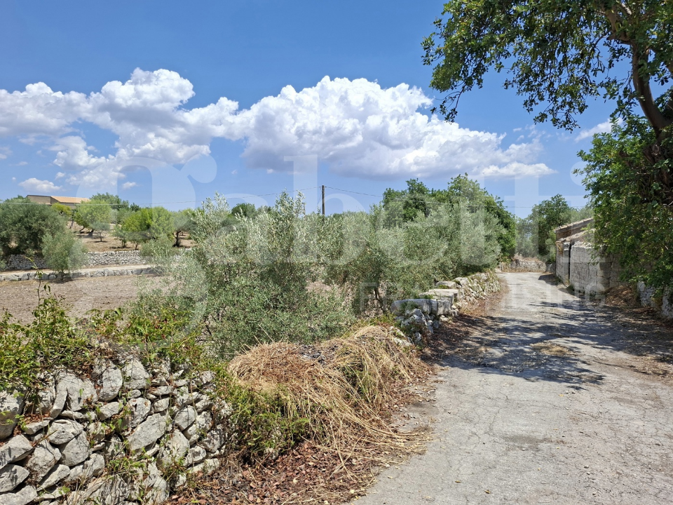 Casa Indipendente - Image 4