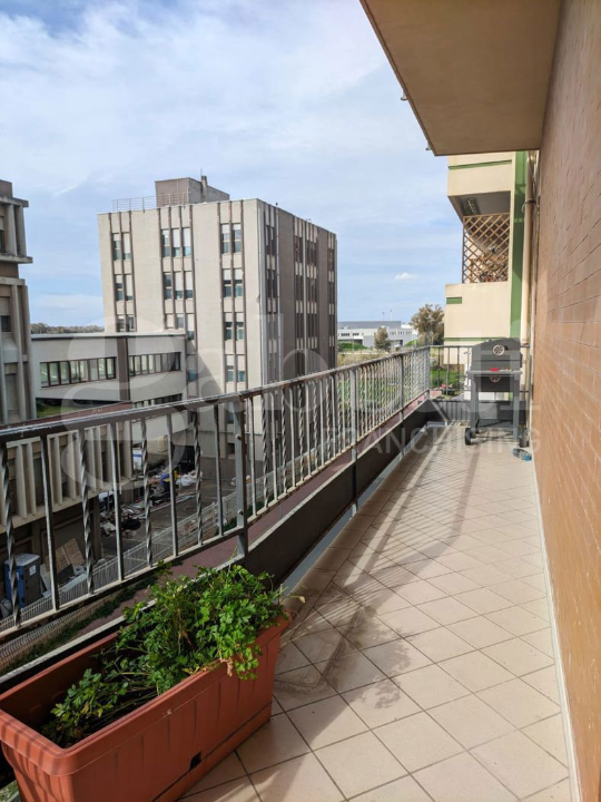 Appartamento - Image 5