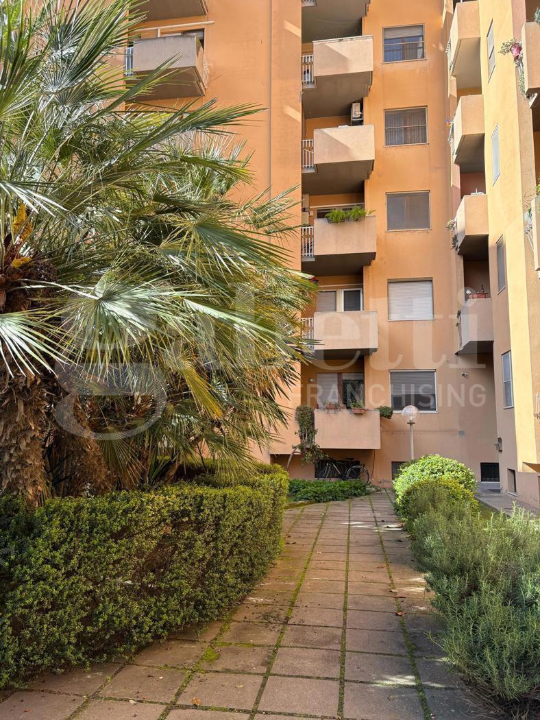 Appartamento - Image 3