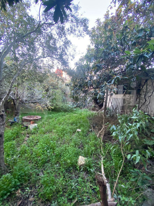 Appartamento - Image 8