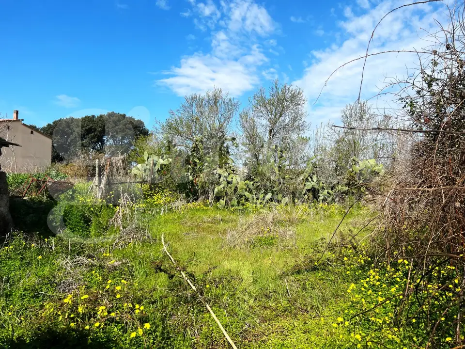 Casa Indipendente - Image 12