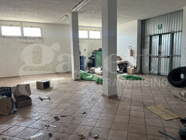 Capannone - Image 6