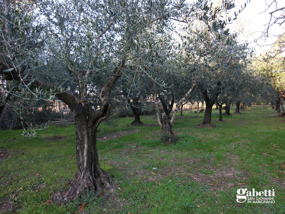 Casa Indipendente - Image 10