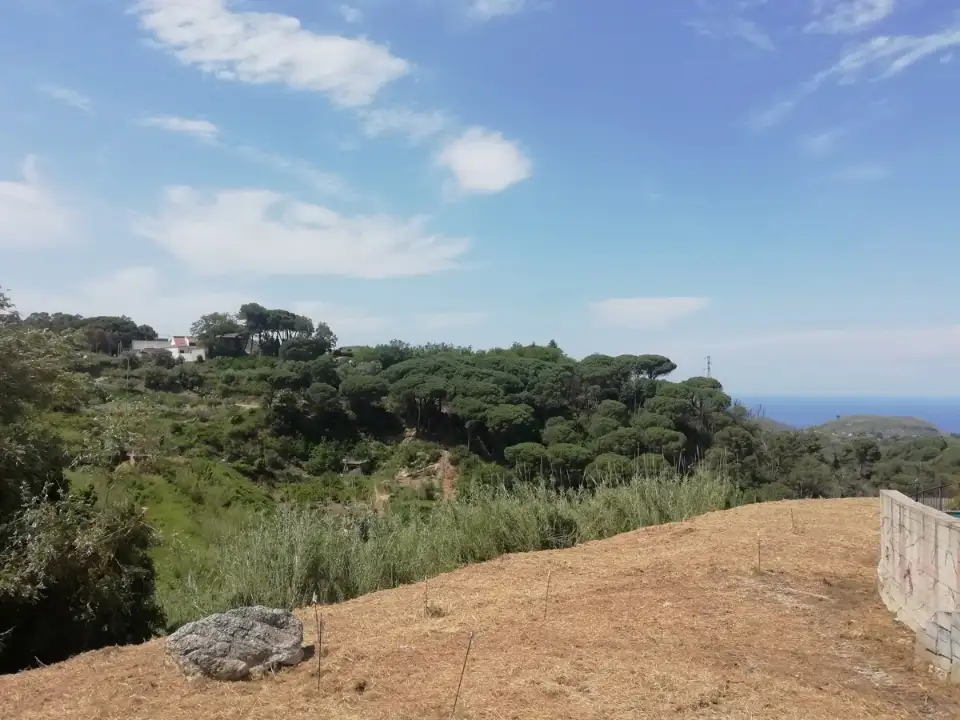 Casa Indipendente - Image 7