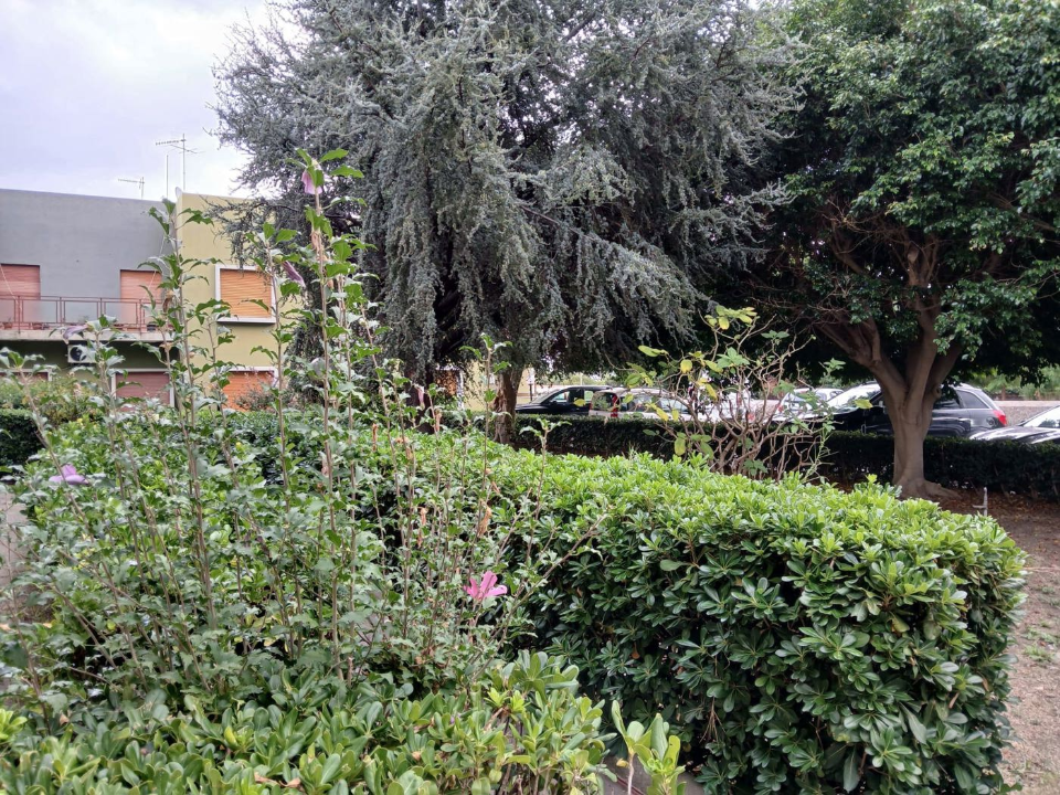 Appartamento - Image 2