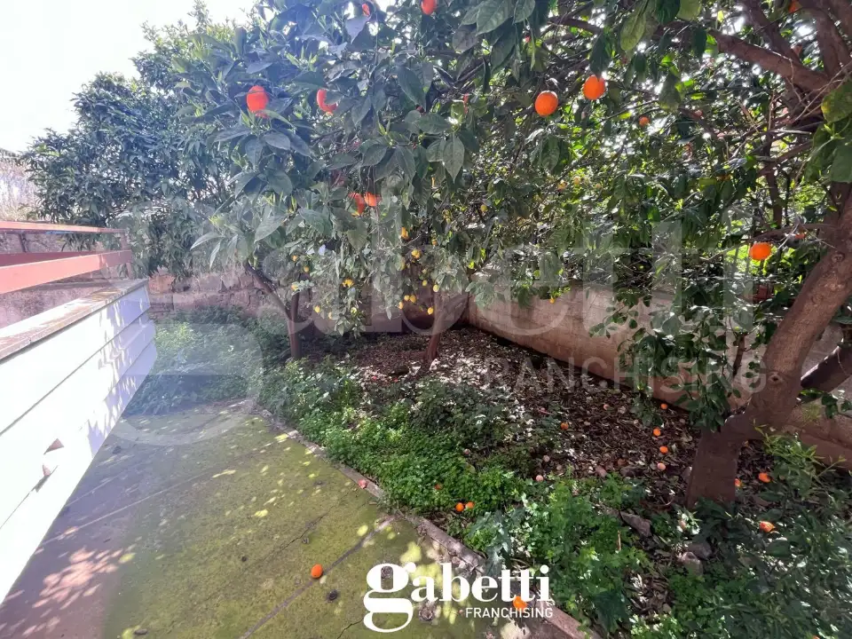 Palazzina - Image 14