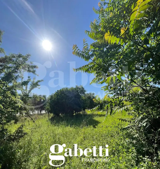 Casa Indipendente - Image 14