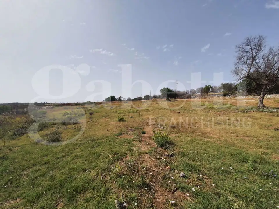 Casa Indipendente - Image 6