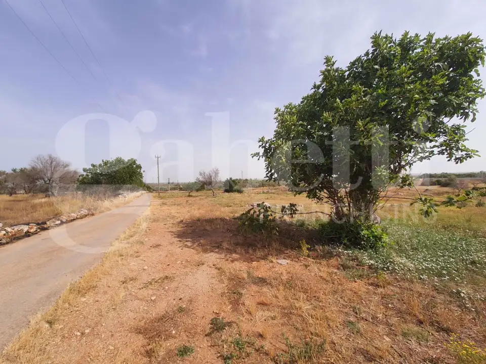 Casa Indipendente - Image 8