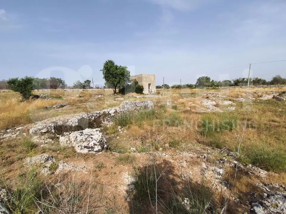 Casa Indipendente - Image 4