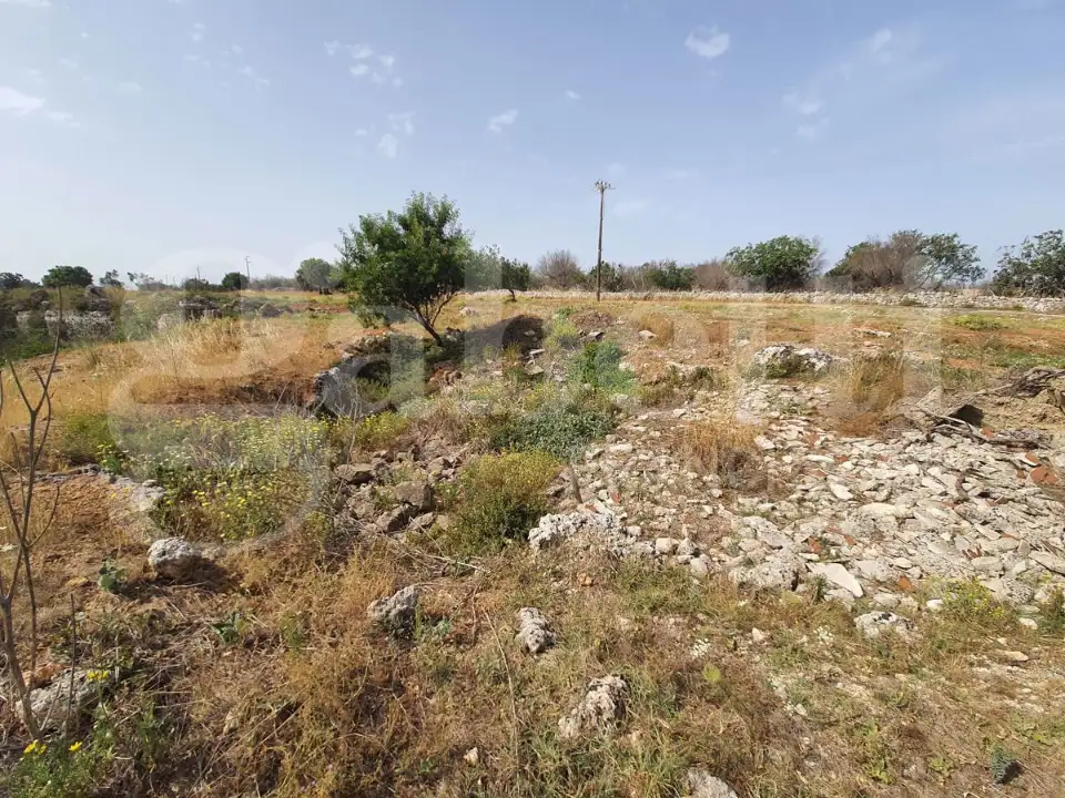 Casa Indipendente - Image 3