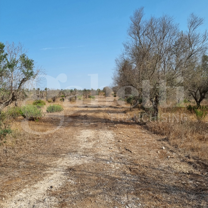 Casa Indipendente - Image 8