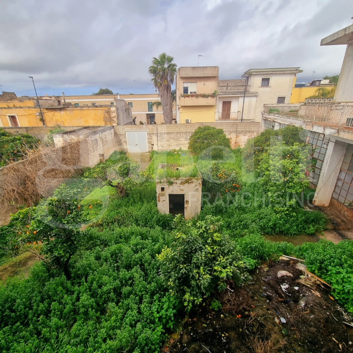 Complesso - Image 27