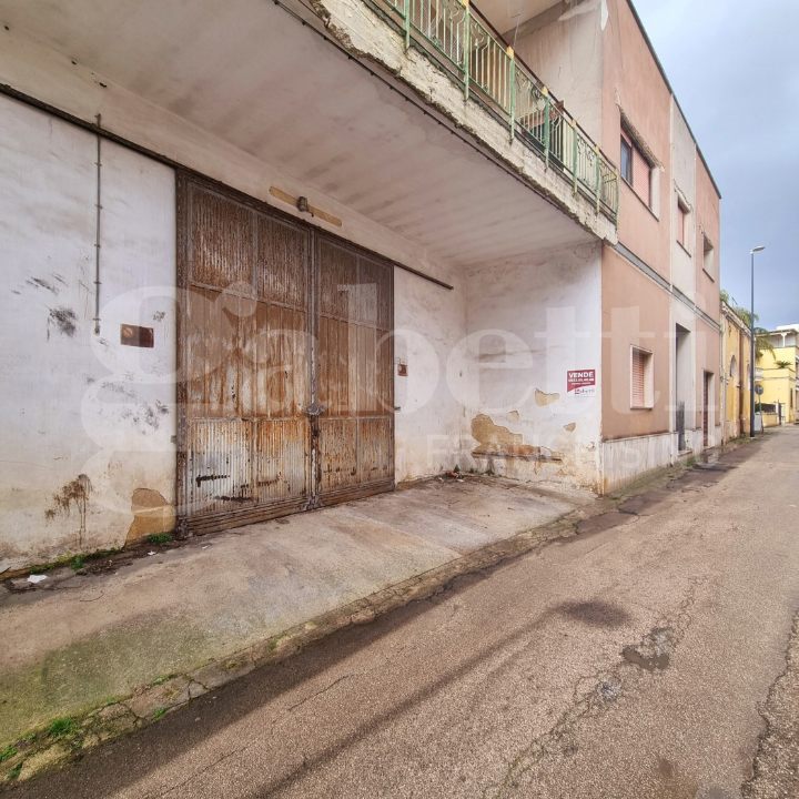 Complesso - Image 12