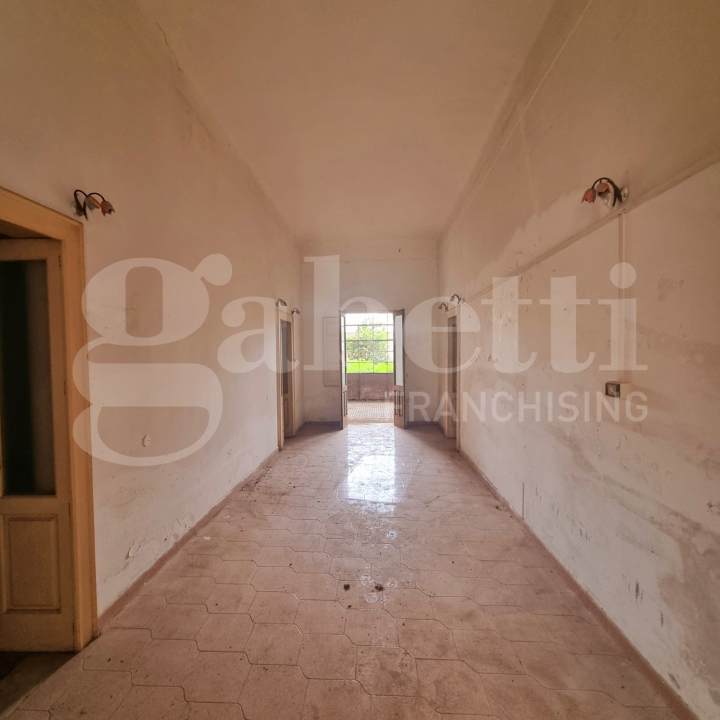 Complesso - Image 14