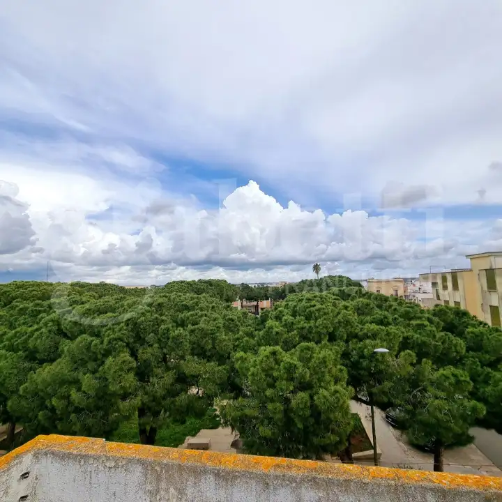 Appartamento - Image 15