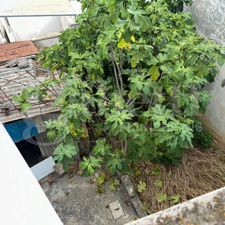 Casa Indipendente - Image 4