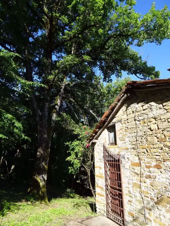 Casa Indipendente - Image 10